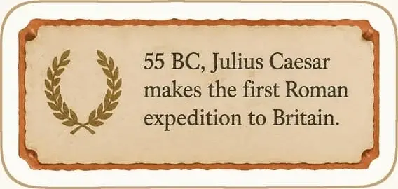 Timeline cards